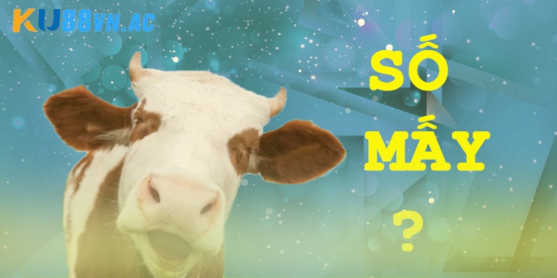 Con bò số mấy ứng với giấc mơ thấy bò có màu sắc?